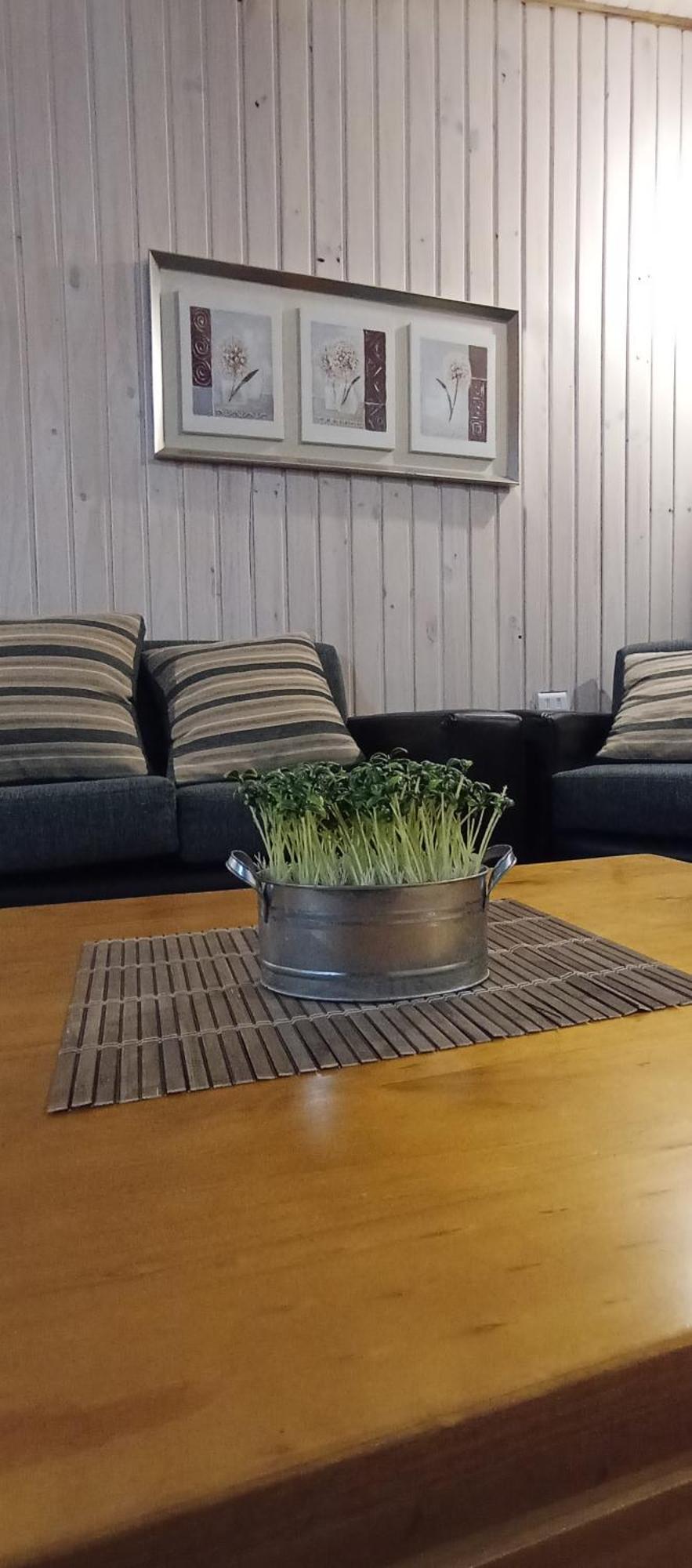 Cabana Los Coihues Apartman Puerto Montt Kültér fotó